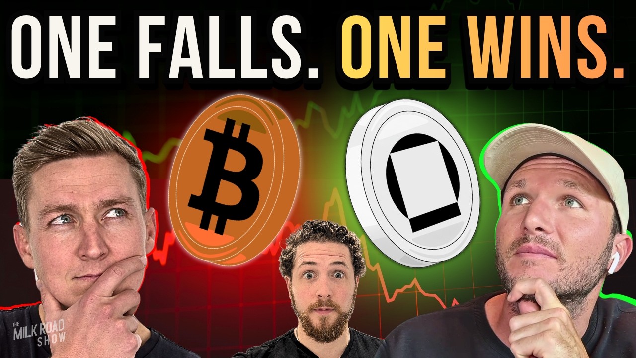 The Best Crypto & AI Investment You'll Make + Saylor Just Became Bitcoin's Biggest Risk