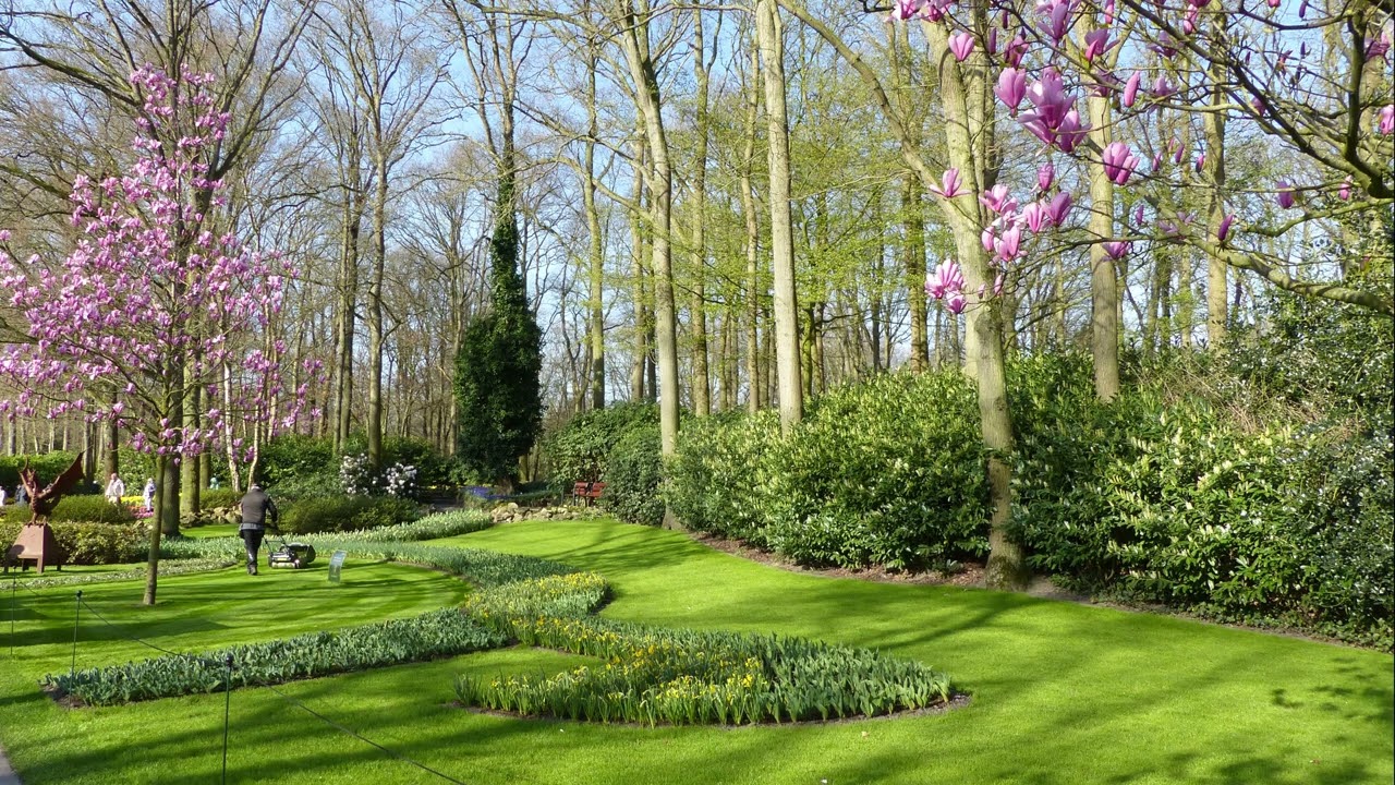 Keukenhof Lisse remake 2026 movie