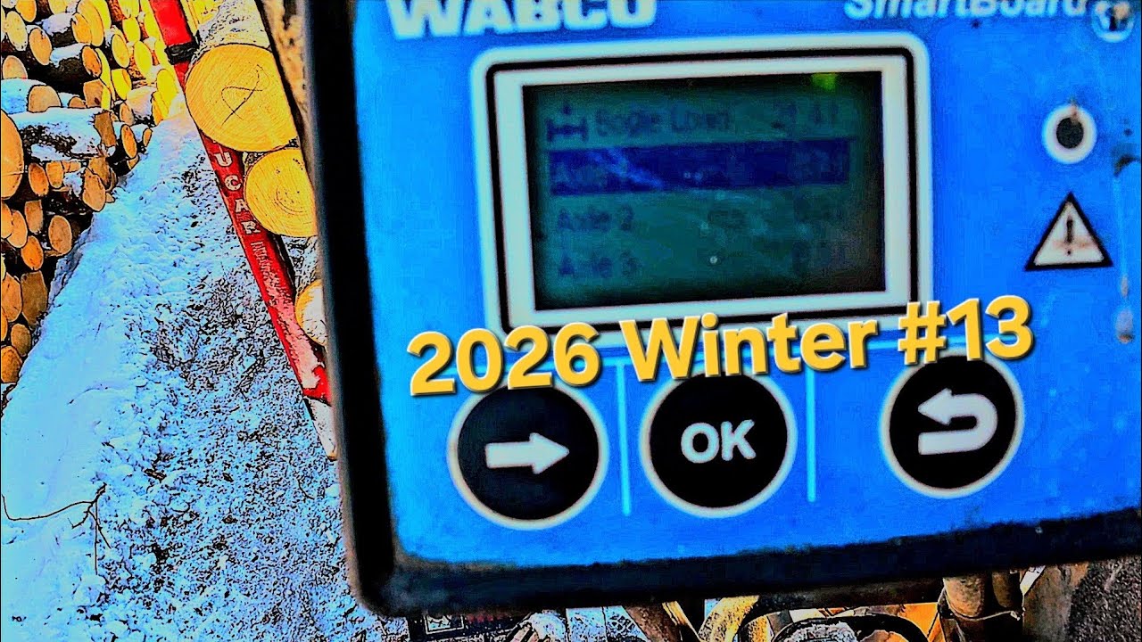 2026 Winter #13. Vežam beržą... Svarstyklės ir jų rodmenys...