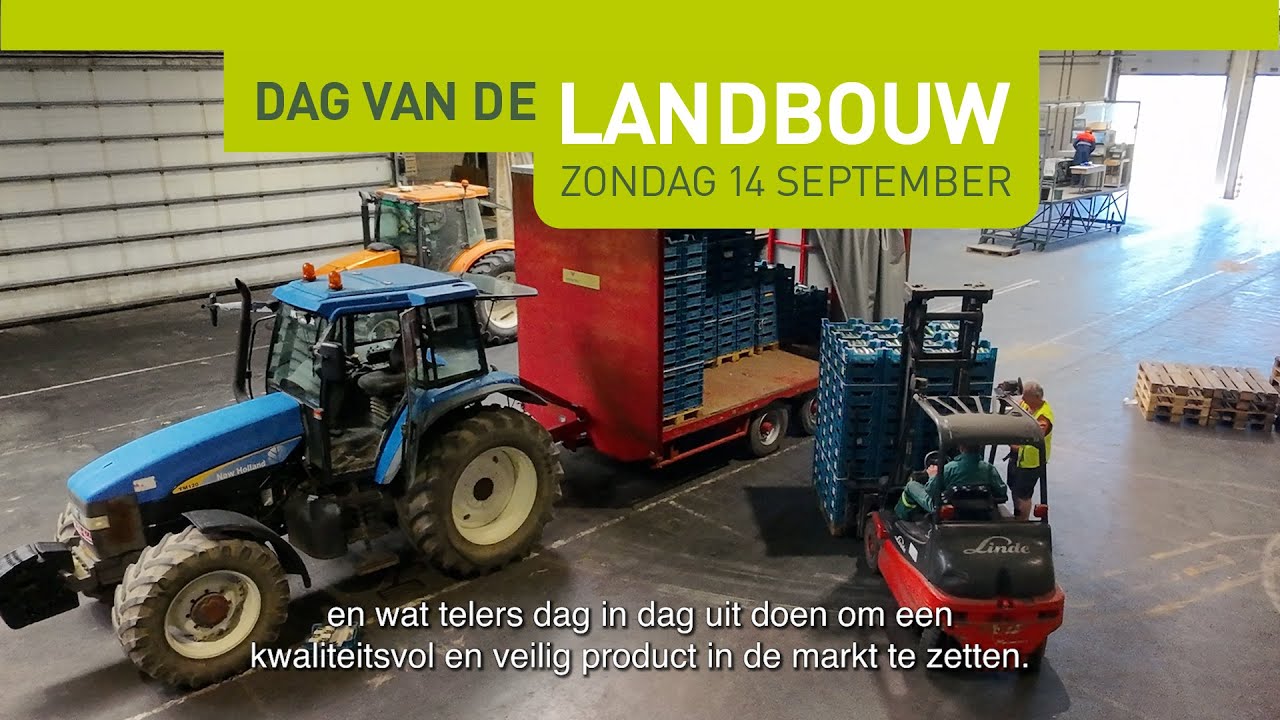 Dag van de Landbouw - Grove groentetelers Poperinge