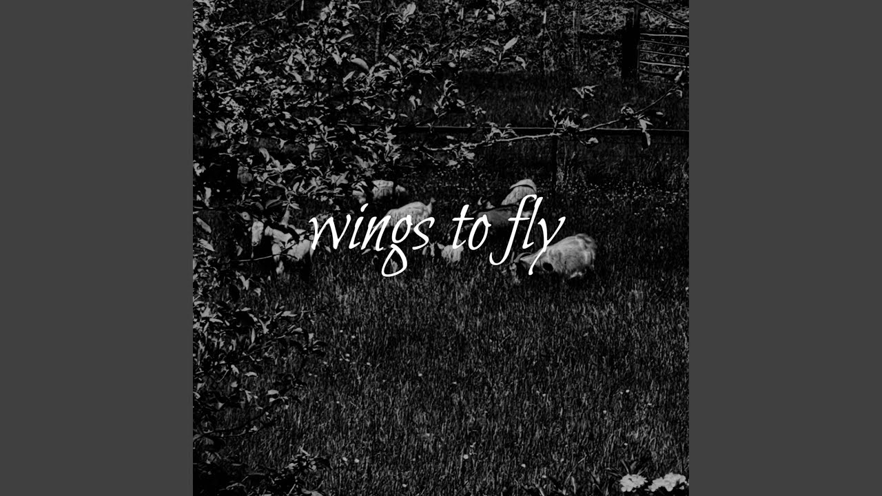 wings to fly