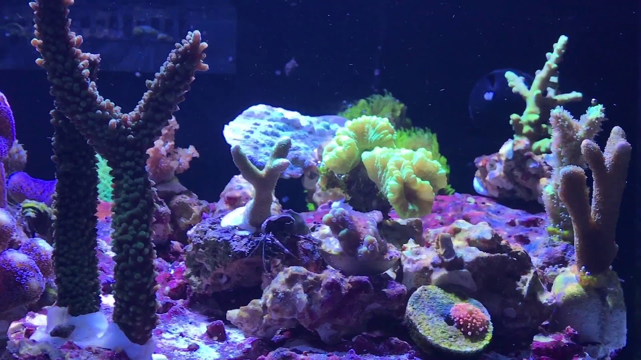 Red Sea Max E170 Update 254 days