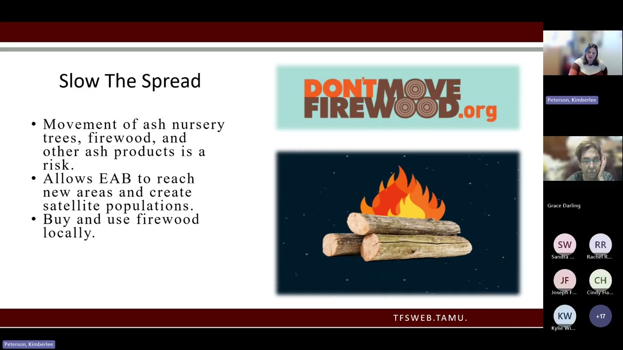 Вебинар NCTCOG: Что вас беспокоит? Борьба с инвазивными вредителями в лесных массивах, созданных ...