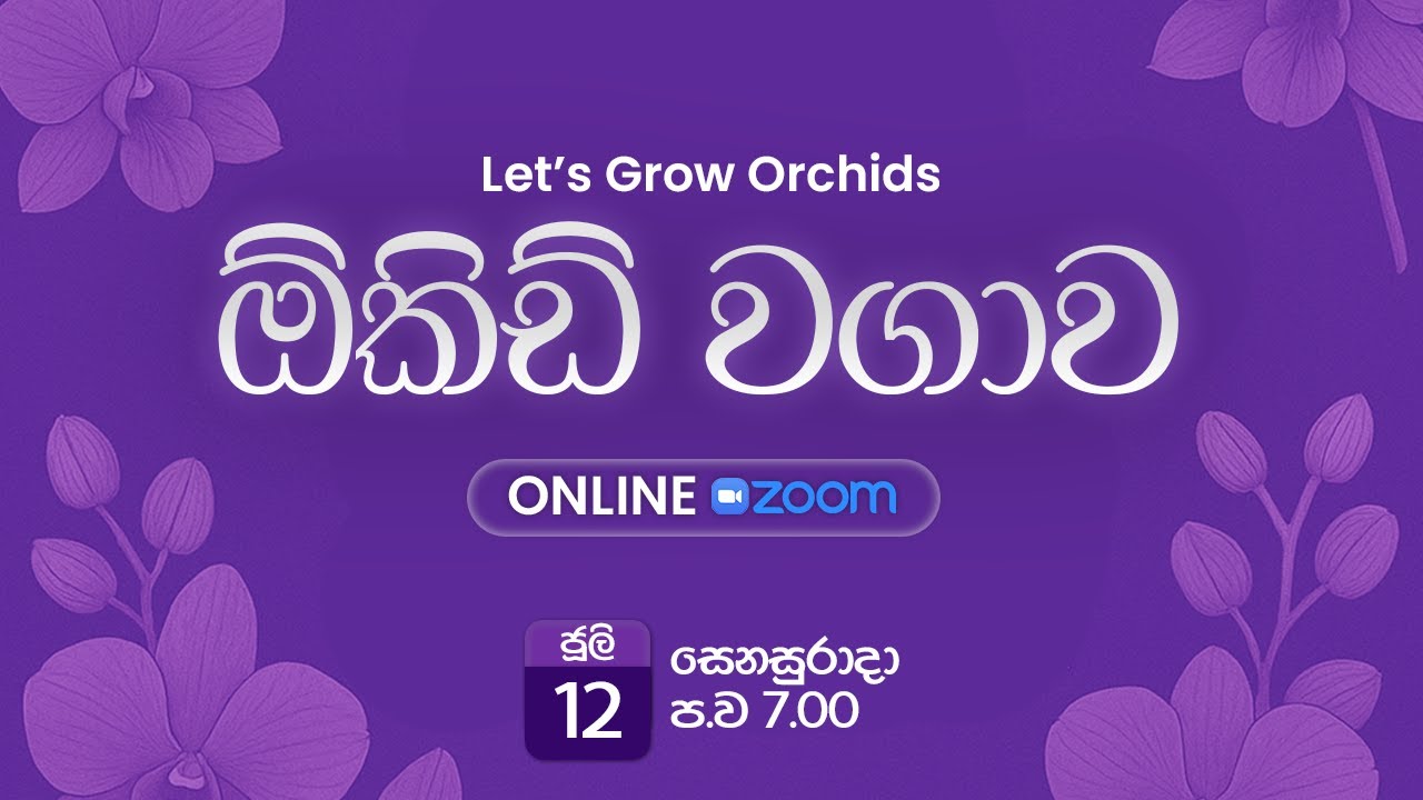 Introduction to Orchid Cultivation | ඕකිඩ් වගාව හැදින්වීම