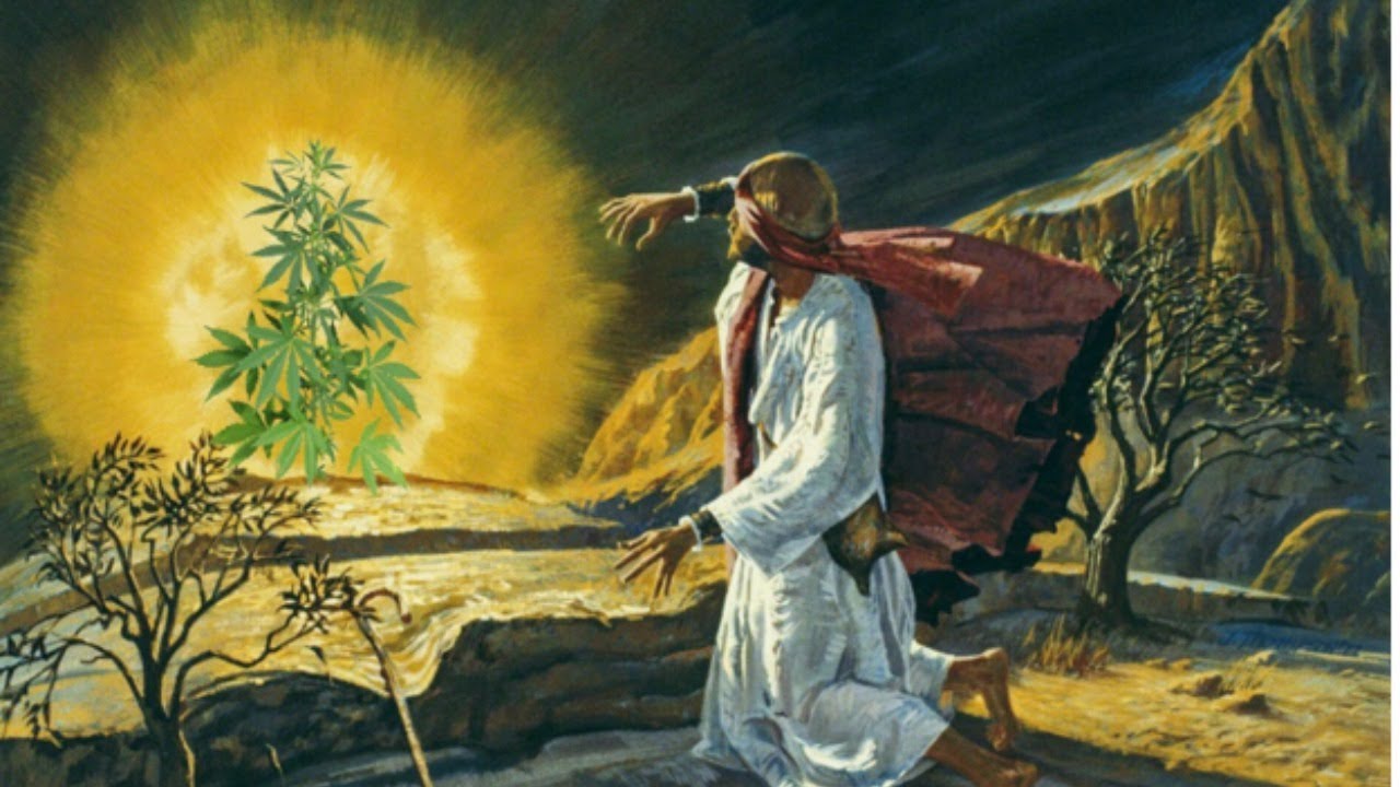 የአብርሃም አምላክ የይስሐቅም አምላክ የያዕቆብም አምላክ እግዚአብሔር ካንተ ጋር  (ካንች) ጋር ነዉ🙏