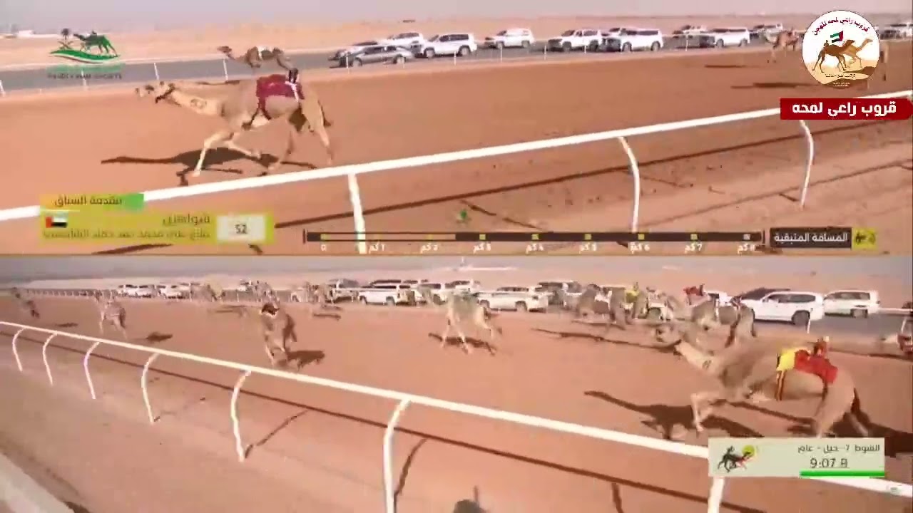 الشوط 7 (ألين) لـ هرماس حسين بن هرماس العطوي 12:58:18 ( مهرجان خادم الحرمين الشريفين 2025 )
