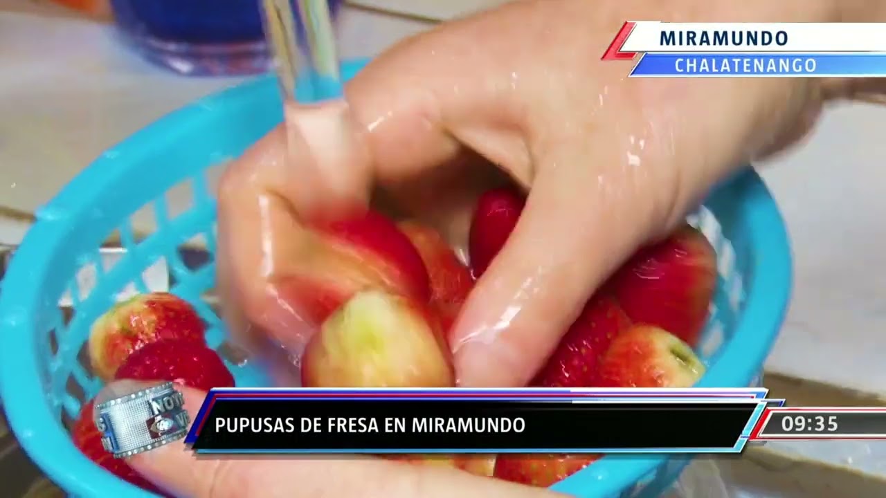 REPORTE ESPECIAL PUPUSA DE FRESA