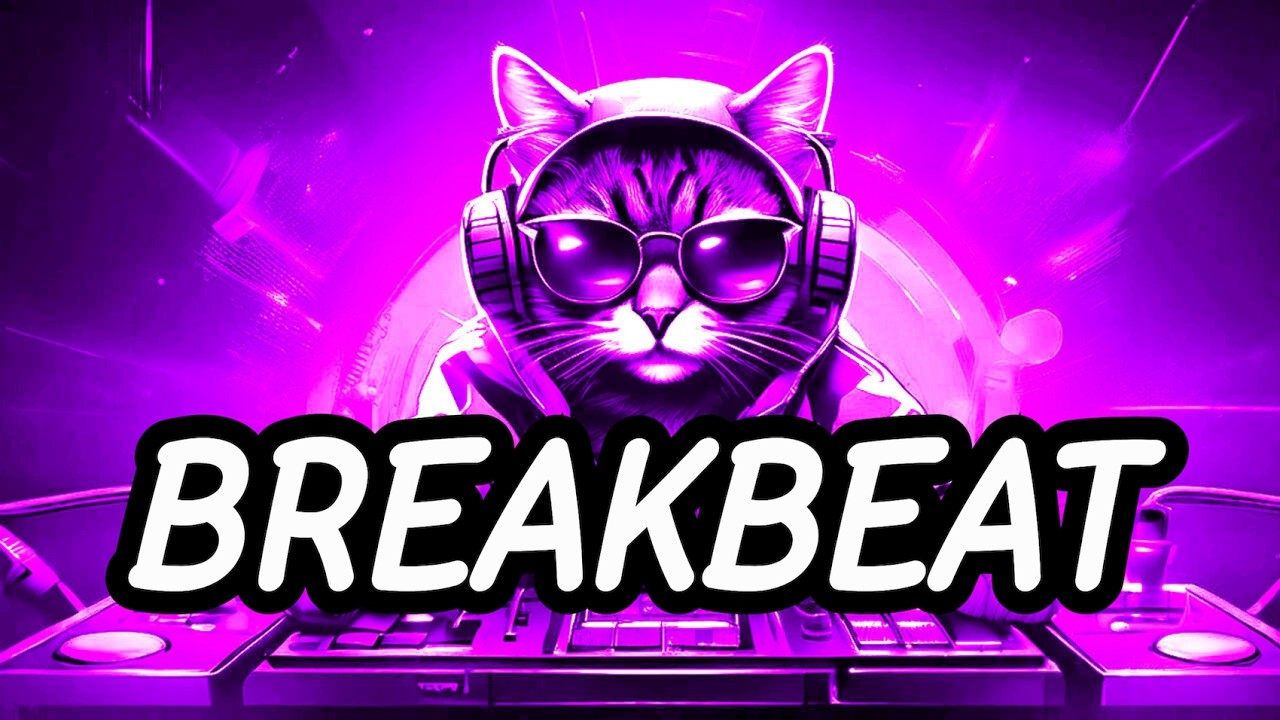 BREAKBEAT MIX 2026 🔥 Ultimate Breakz | Vol. 02