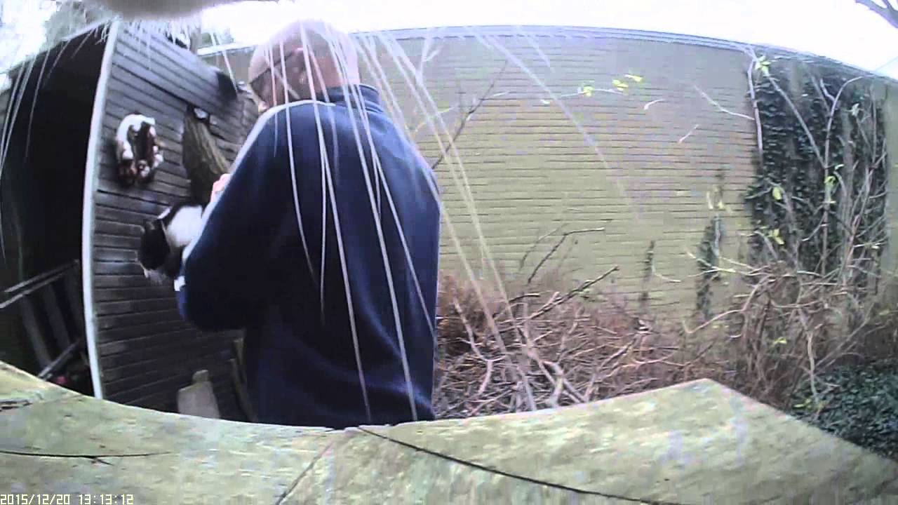 Boris - CatCam - Part 2