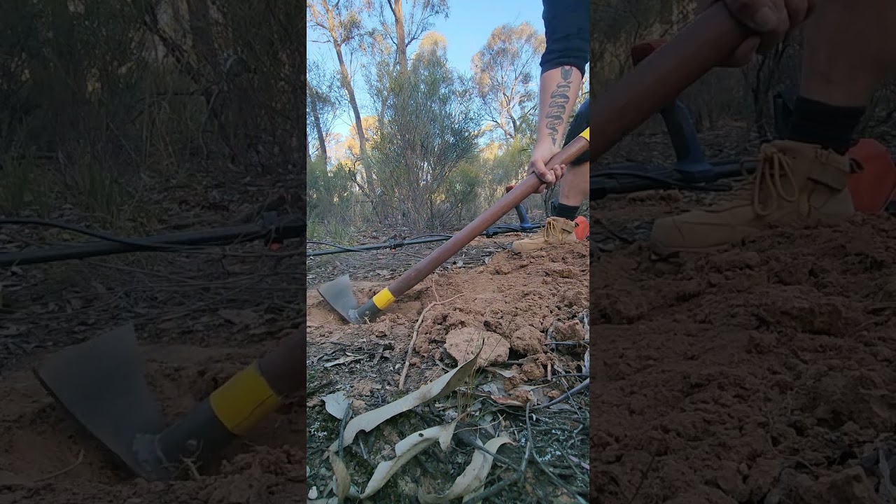 Coiltek 9inch gold hawk coil in the whipstick. Military projectile. Sunraysia Goldies Group.