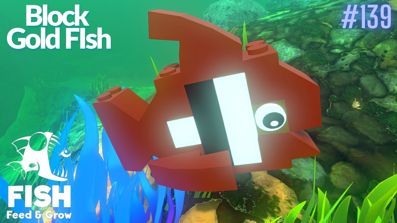 Feed And Grow Fish : Block Gold Fish