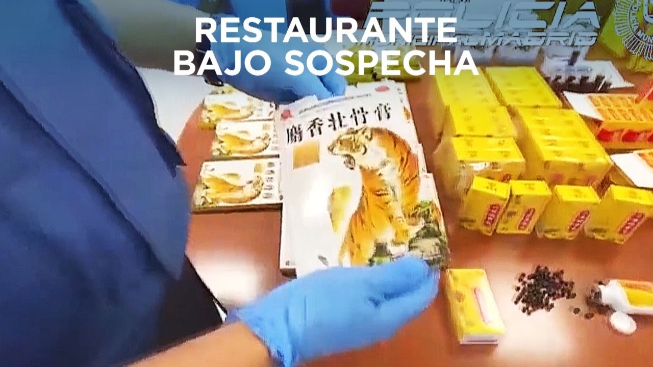 Investigan un restaurante de Usera por vender medicinas y sacrificar especies exóticas para el menú