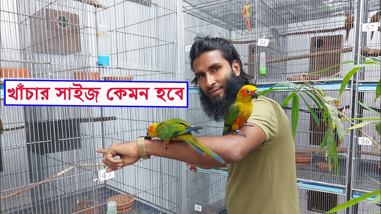 কোন প্রজাতির পাখির জন্য খাঁচার সাইজ কেমন হবে জেনে নিন || Parrots cage size
