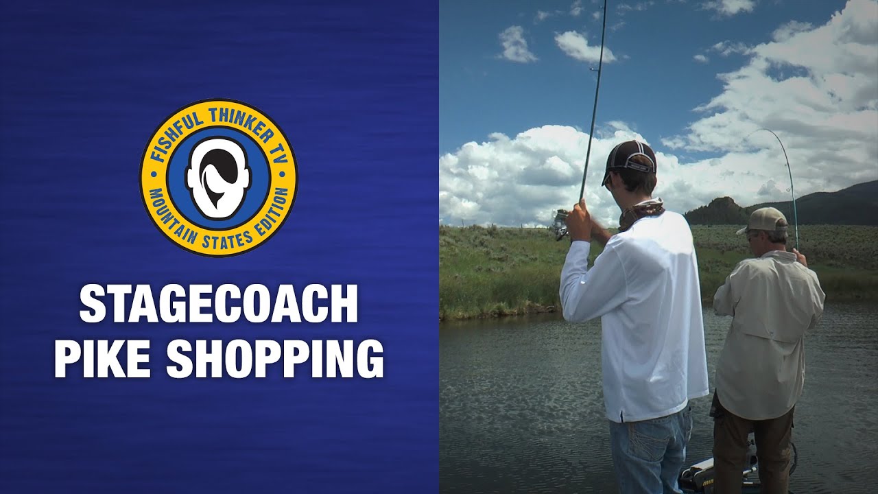 Stagecoach Pike Shopping (pike fishing); Fishful Thinker TV