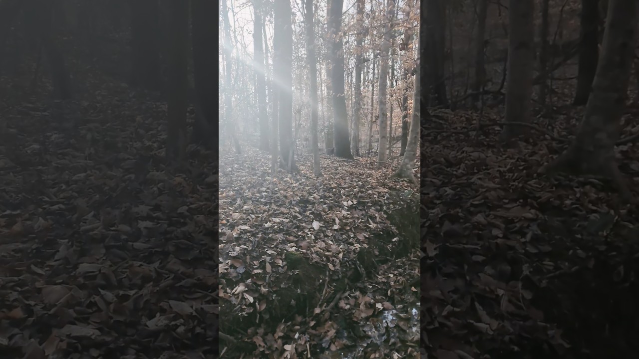 Somethings Not Right. 