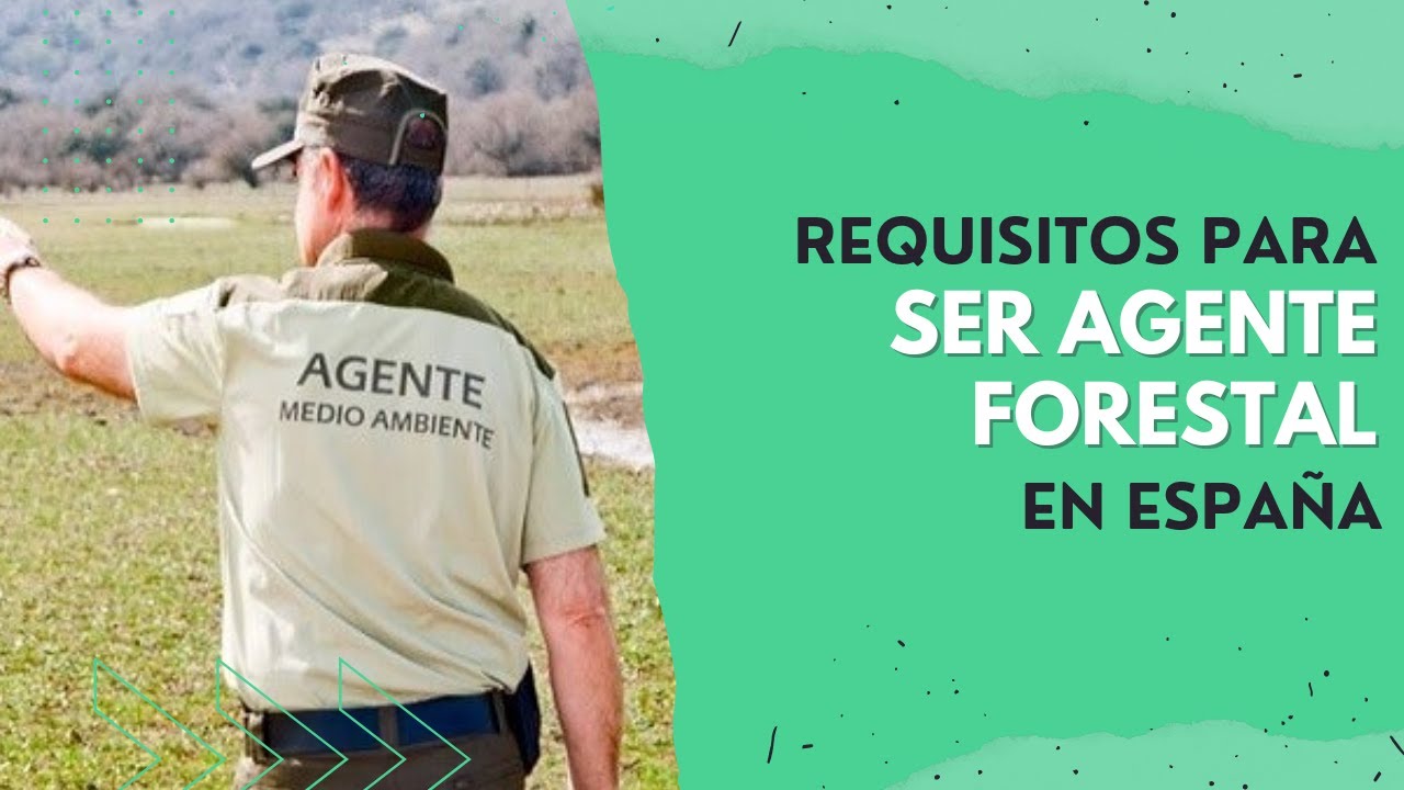 REQUISITOS para ser AGENTE FORESTAL en ESPA&Ntilde;A