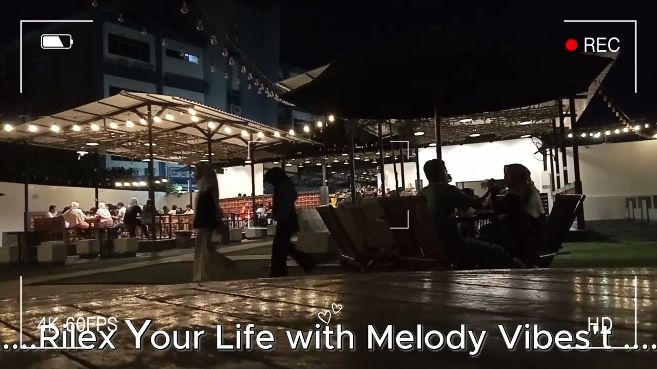 Vlog In the Night 