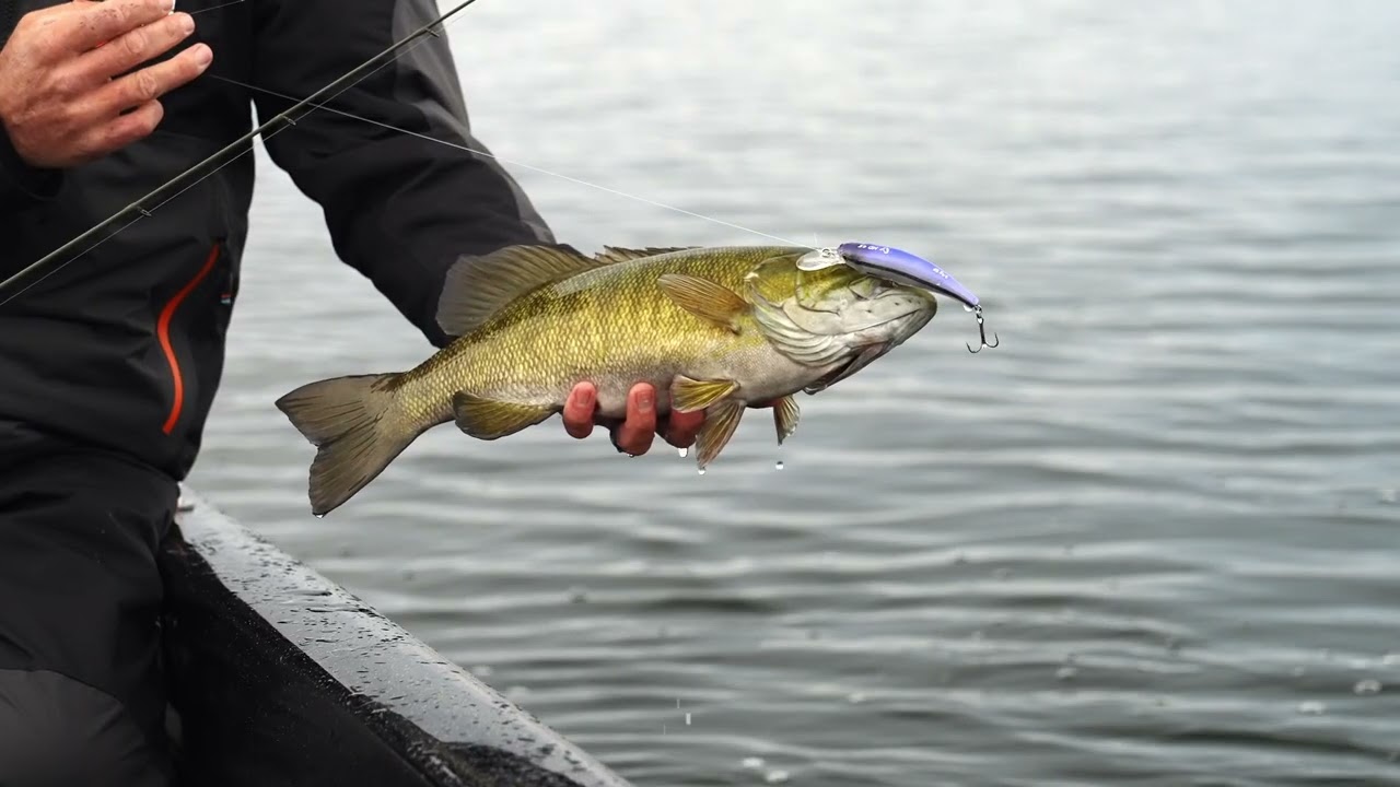 Small mouth bass with Danny Herbeck  3d minnow diver