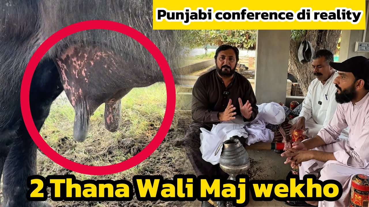 2 Thana Wali Maj Wekhi | Patka ty pag vch farak | Punjabi Conferences di reality | Anjum Saroya