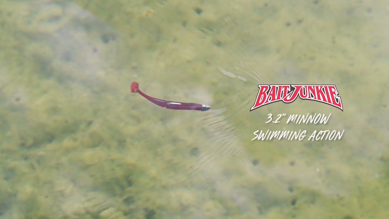 Daiwa BaitJunkie Minnow Soft Plastic Lure - BCF