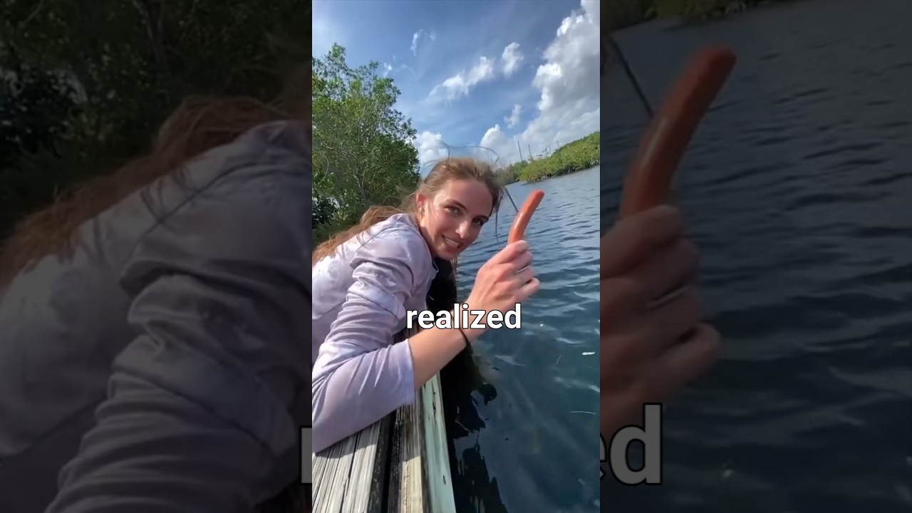 ПОДОЖДИТЕ! ЧТО ⁉️