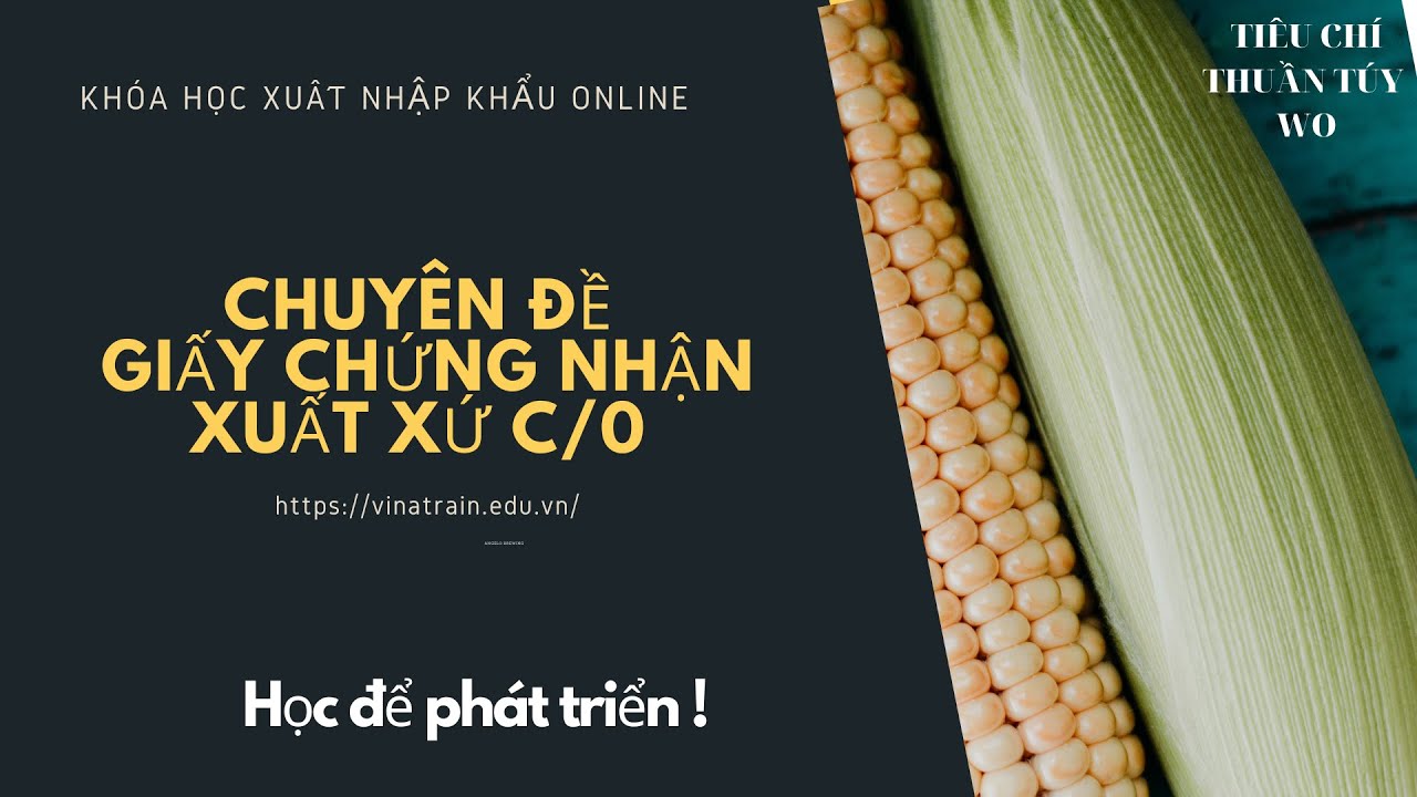 GIẤY CHỨNG NHẬN XUẤT XỨ C/O -  Buổi 1: Các tiêu chí xuất xứ