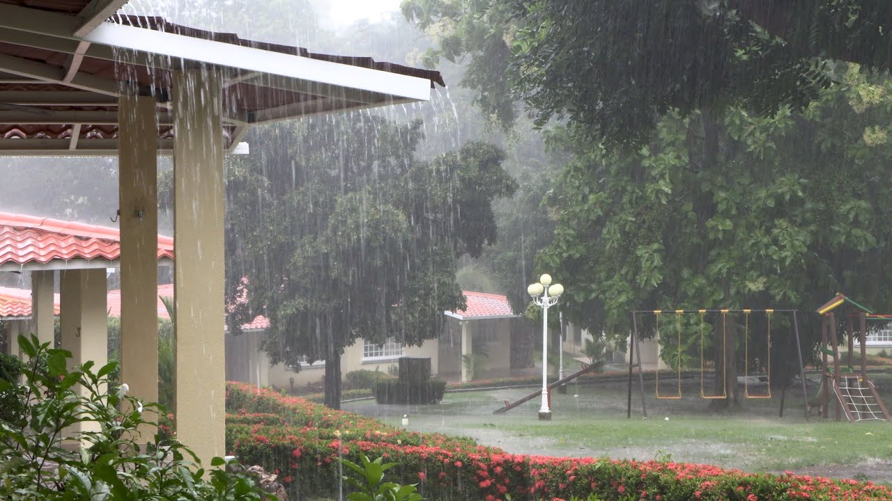 4k UHD Heavy Rain and Thunder Sounds at Park in Panama. Rain Sounds, White Noise to Sleep 10 Hours.