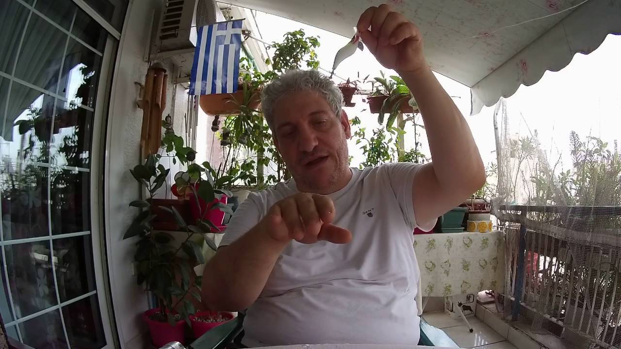 ψάρεμα σουπιάς & καλαμαριού από τη στεριά πως και τι fishing for sepia & squid tips