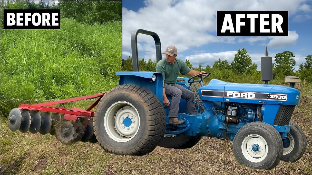 35-Year-Old Ford 3930 DESTROYS This Overgrown Field!