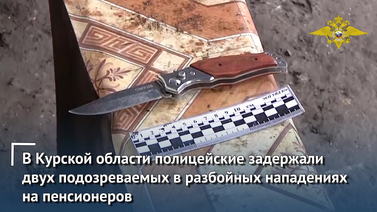 В Курской области полицейские задержали двух подозреваемых в разбойных нападениях на пенсионеров