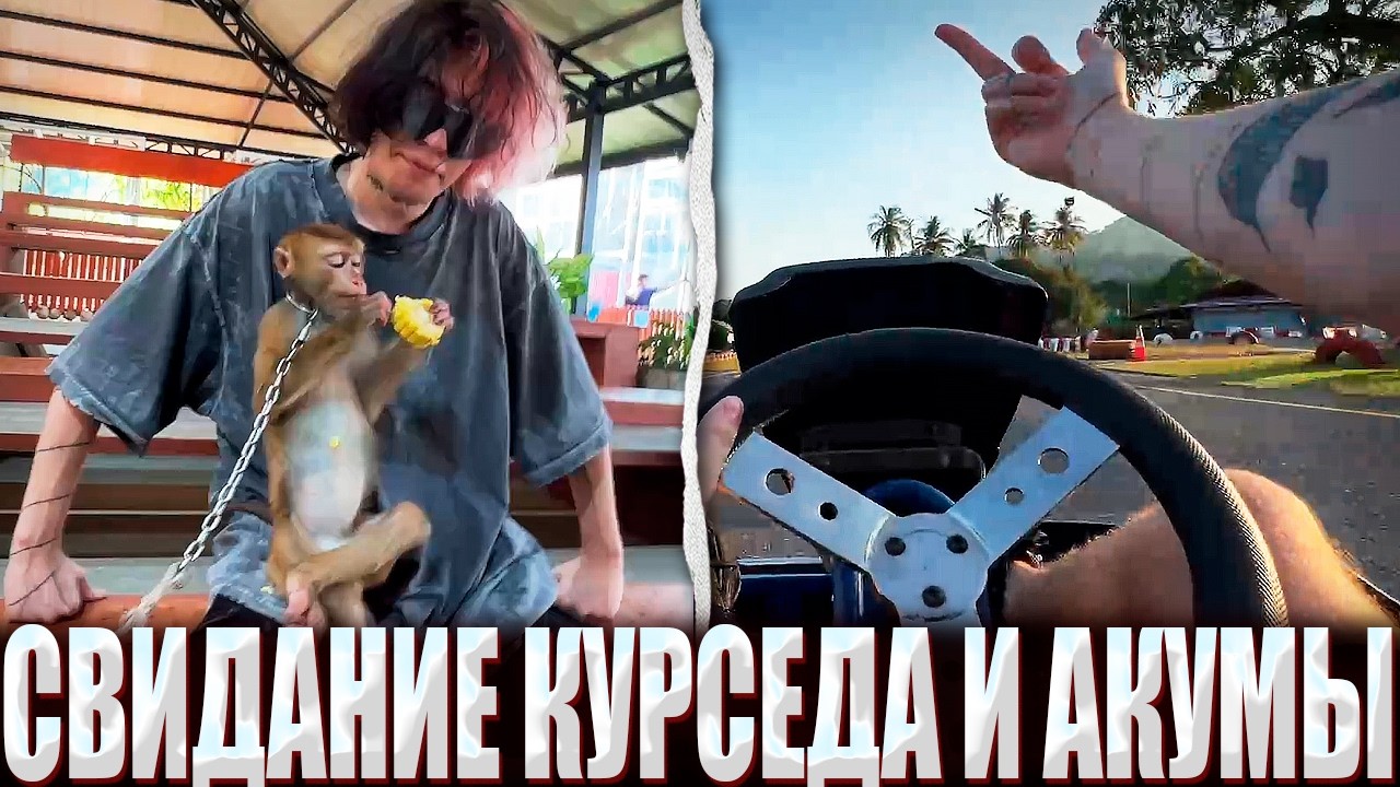 КУРСЕД И АКУМА РАЗВЛЕКАЮТСЯ В ТАИЛАНДЕ / ZXCURSED И AKUMAQQE УВИДЕЛИ ОБЕЗЬЯН И ЗАРУБИЛИСЬ В КАРТИНГЕ