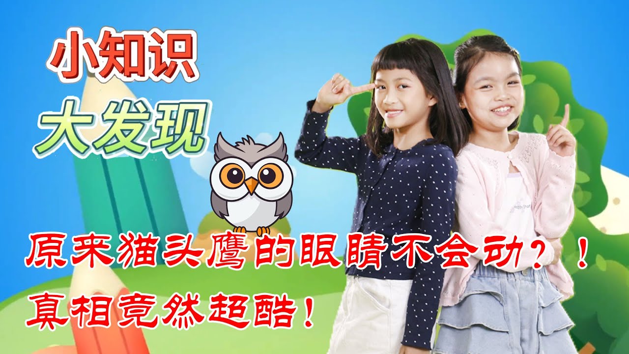 小知识大发现#10 原来猫头鹰的眼睛不会动?!真相竟然超酷！