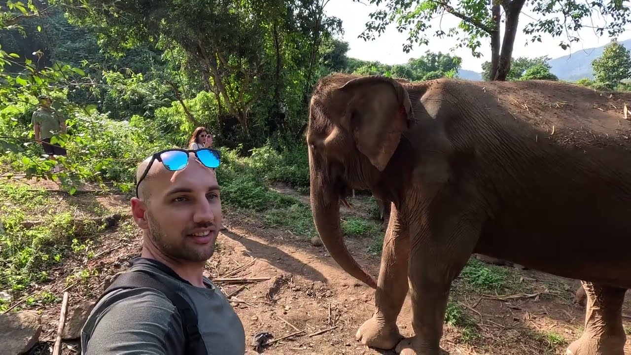 Thailand Trip: Visiting The Best Ethical Elephant Park & Exploring Chiang Mai's Nightlife 🇹🇭