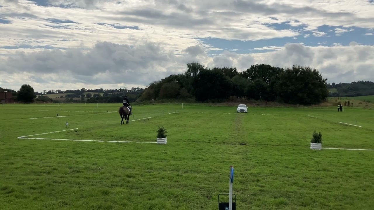 Kelsall hill dressage be90 2024