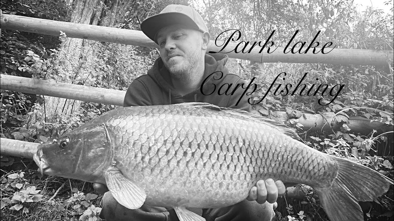 ****carp fishing**** park lake fishing at Osbournes Park Lake