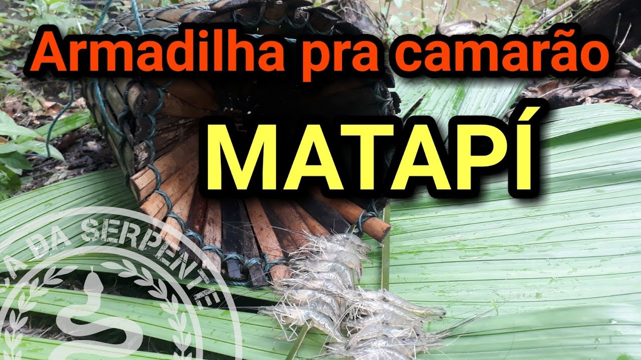 ARMADILHA MATAP&Iacute;