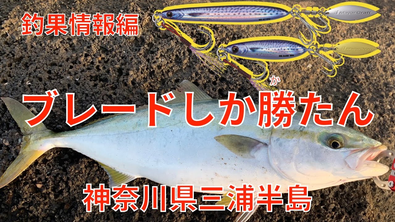 青物シーズン真っ盛り！ショアジギングで最強のメタルジグを使って今日も青物をゲット！岸際を大量の青物が回遊する神奈川県三浦半島の地磯でマキジグを投げまくる。9月イナダ・ワラサ狙い。