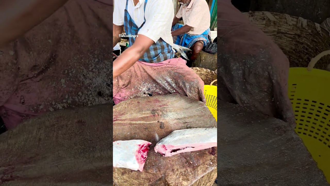 Kannadi Paarai fish cutting video/fishcuttingrs#fish #kasimedu #fishcuttingrs