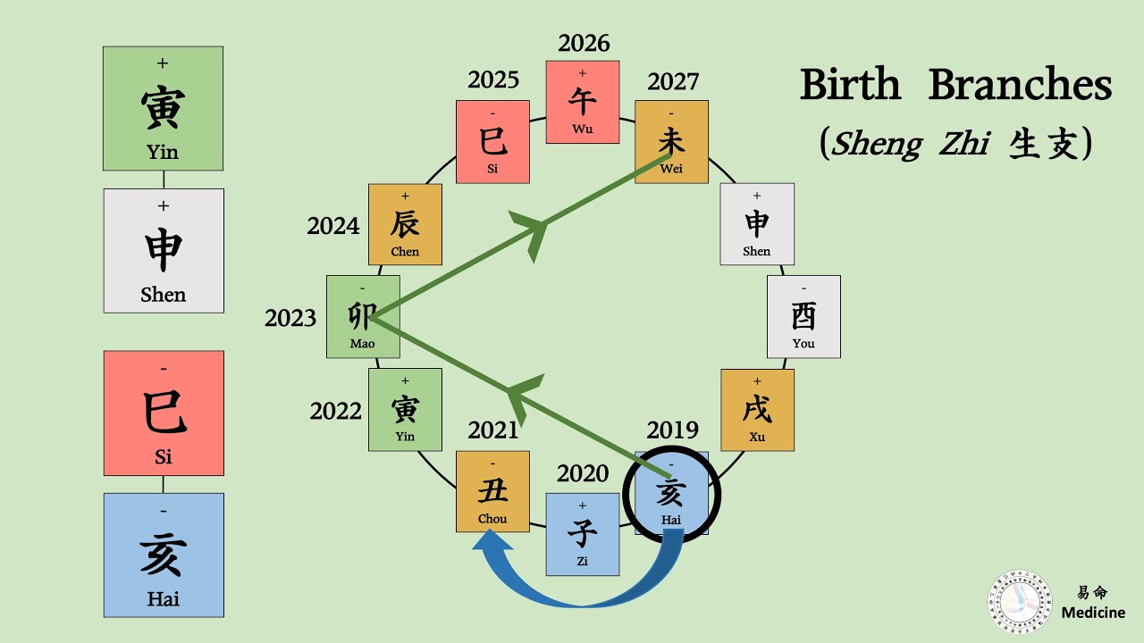[Bazi Basic 12] 3 Categories of Earthly Branches (Part 1. Birth Branch) - 십이지지 생지
