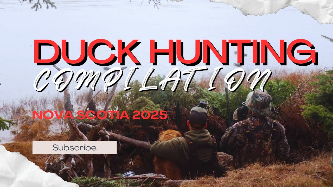 DUCK HUNTING COMPILATION 2025 | GUN DOG'S FIRST SEASON | TONS OF ACTION!
