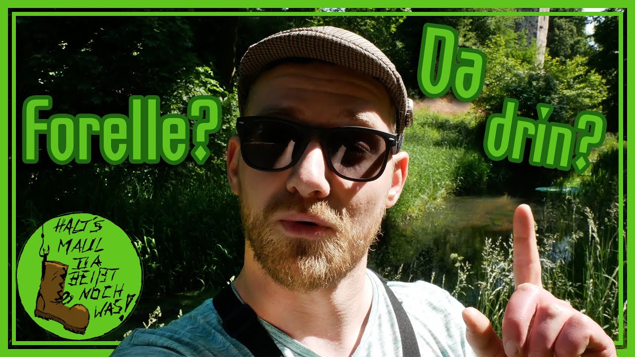 Ob in diesem KLEINEN GRABEN eine FORELLE steht? Spinnfischen am Fließgewässer I VLog #39