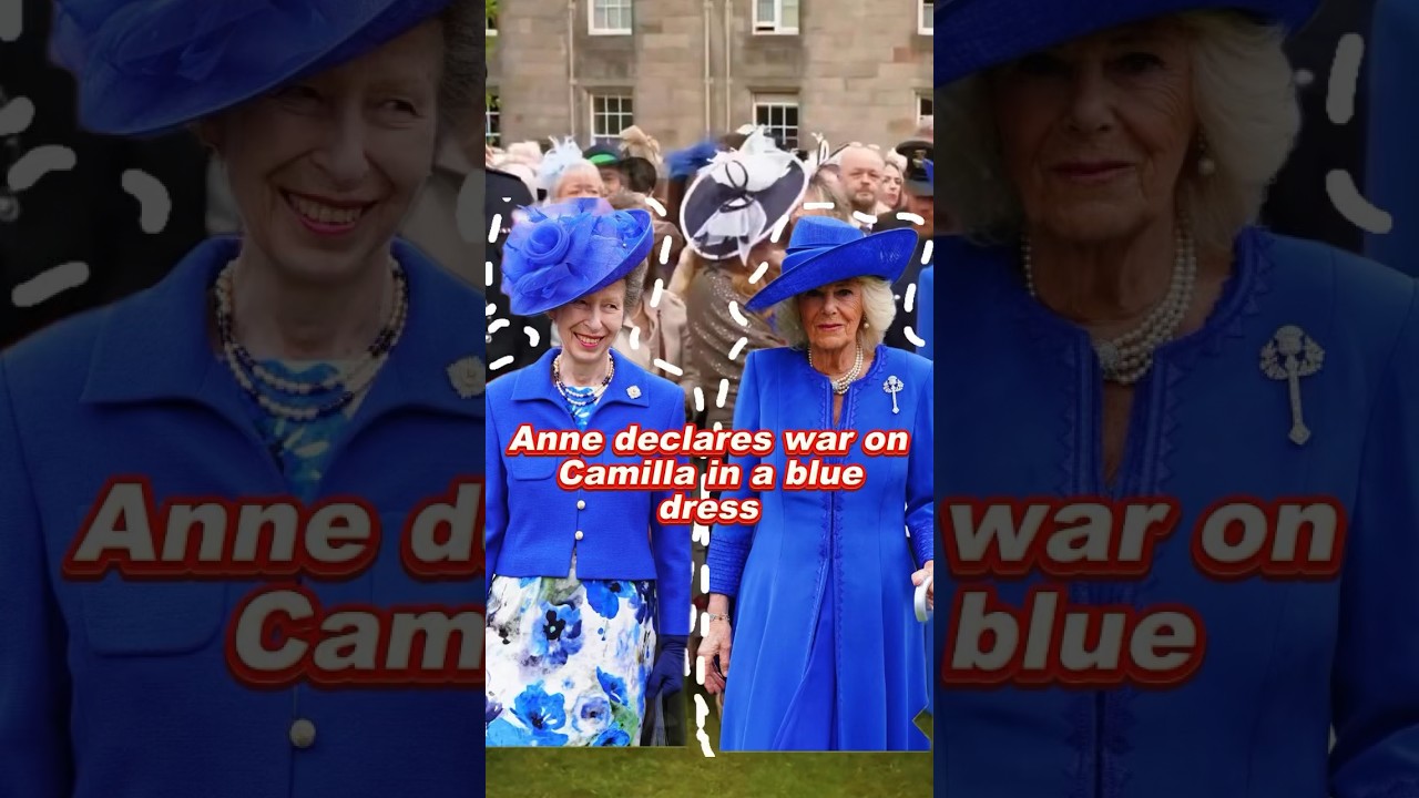 Anne declares war on Camilla in a blue dress #royal #foryou #fyp #camilla #princessanne