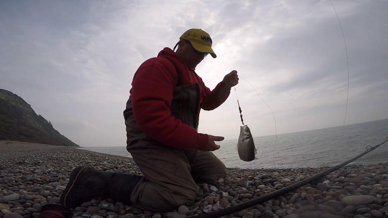 Tip Tornado Graphex and a few small fish