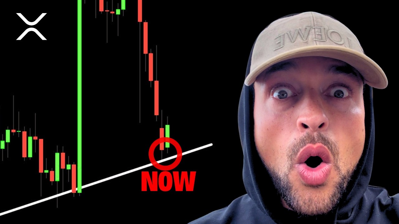 Если у вас есть XRP, вам обязательно нужно это увидеть.