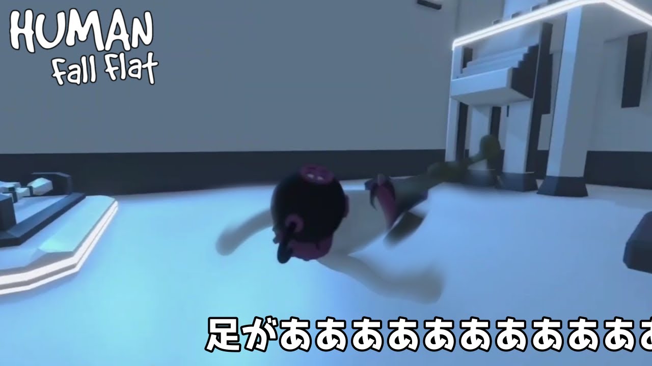一緒にやる人がいないので1人で遊ぶHuman fall flat