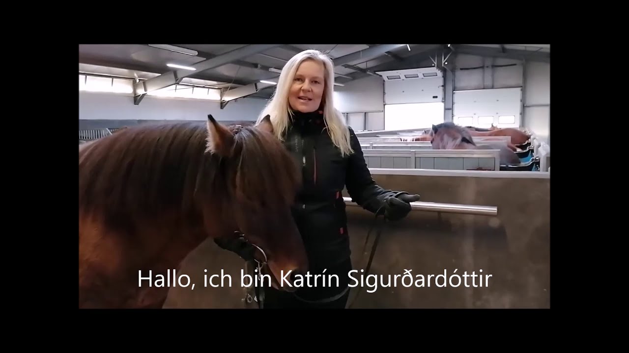Icelandic Horseworld &ndash; Besitzerin Katr&iacute;n zeigt die 5 Gangarten der Islandpferde