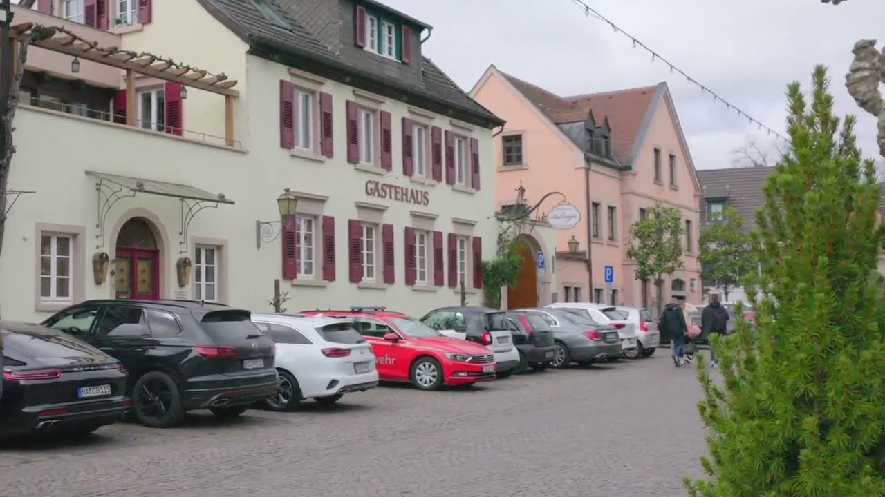 Bassermann-Jordan Weingut