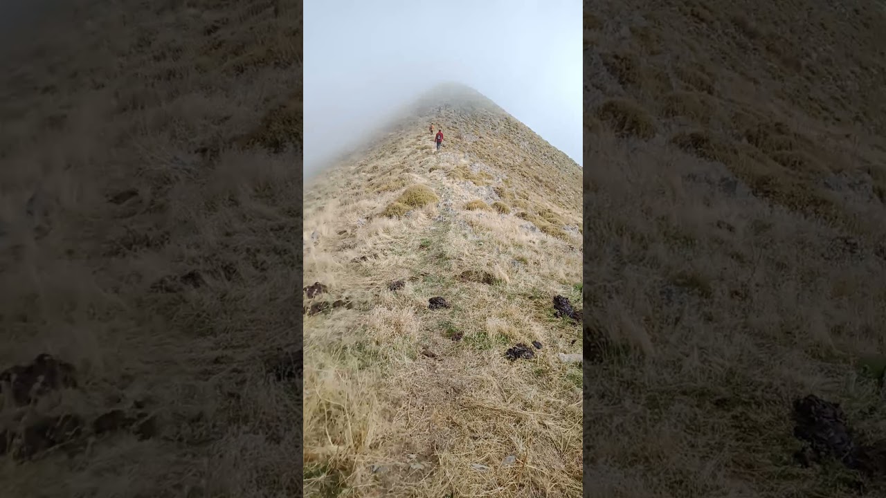 Tababort, Tababort, Tababort...