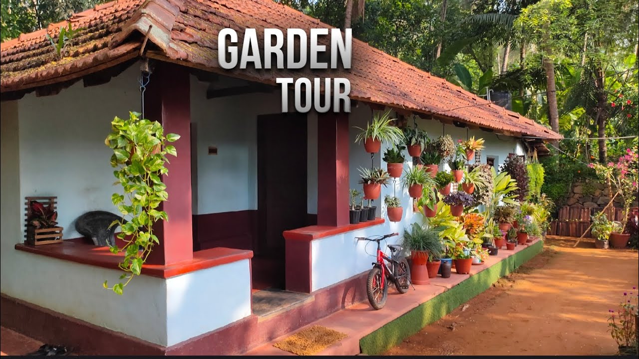 Garden tour malayalam | ചെടിവീട് #gardening #gardentour #gardeningideas #homegardeningideas