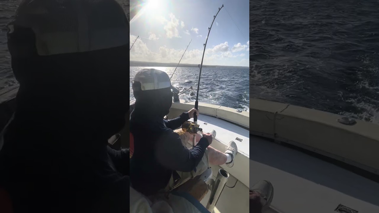 Mr Steve Barbados Wahoo